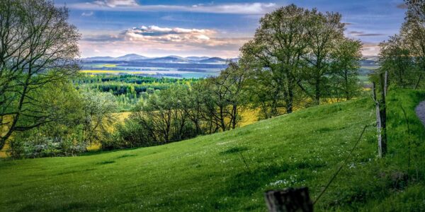 Malerische Frühlingsfarben mit Ausblick auf das Zittauer Gebirge