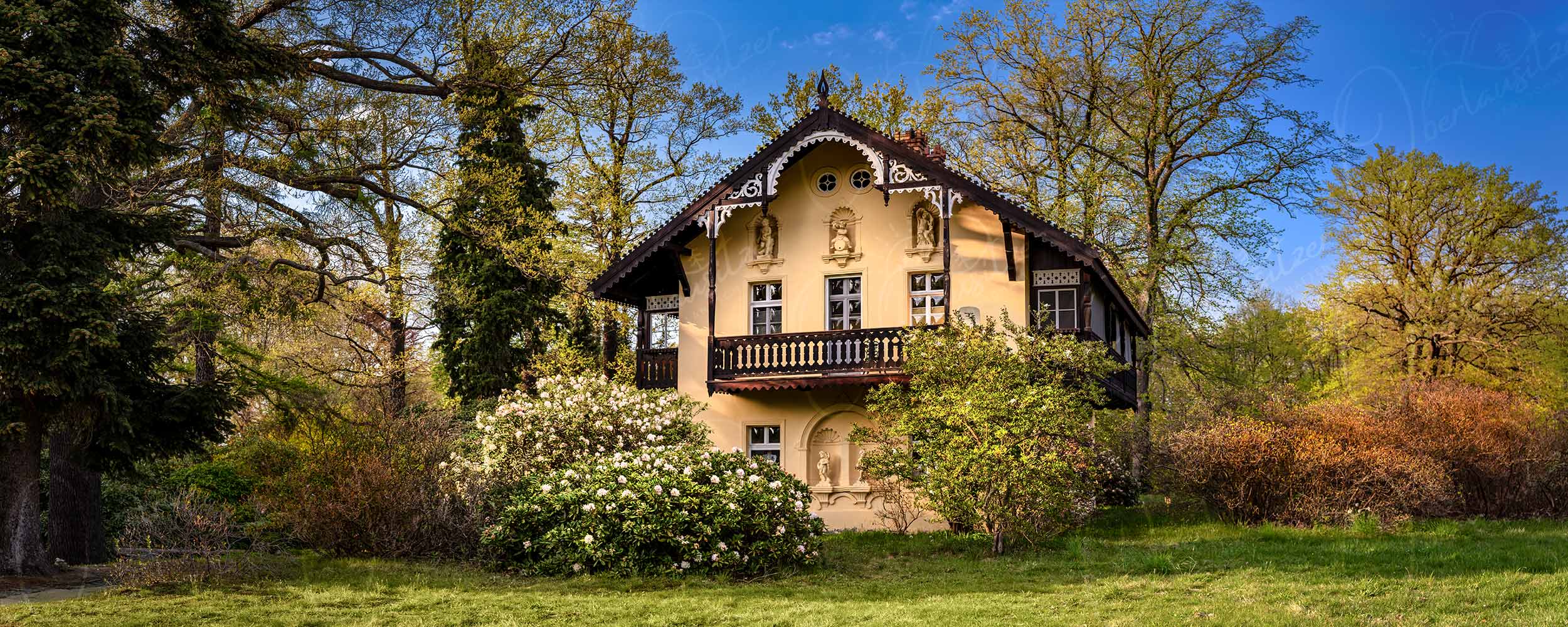 Blütenpracht im Rhododendronpark vor dem Kavalierhaus