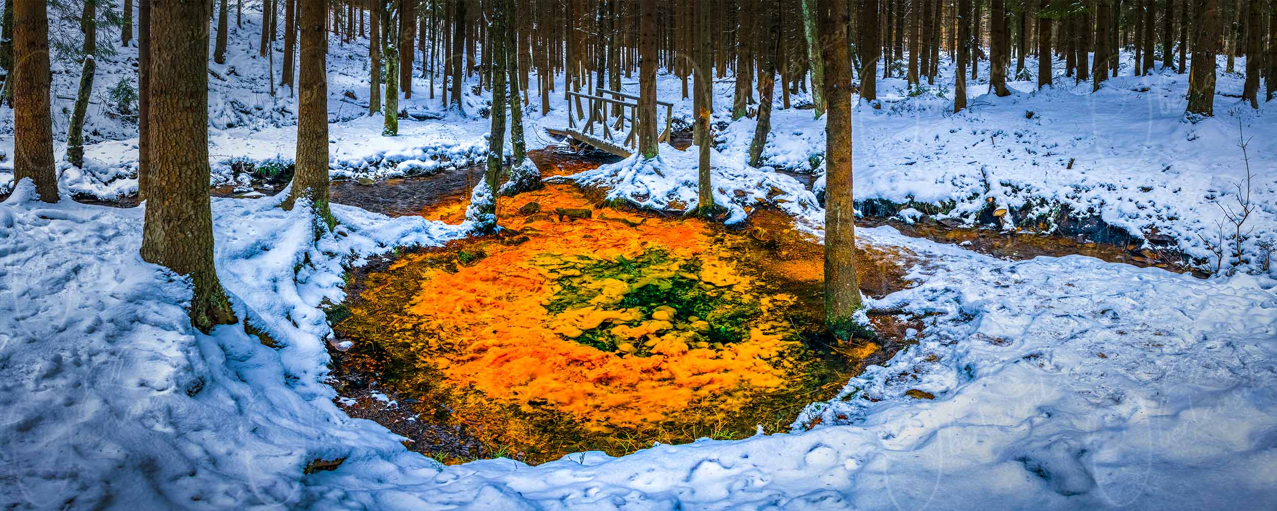 Krompach - Farbenprächtige Mineralölquelle im Winterwald