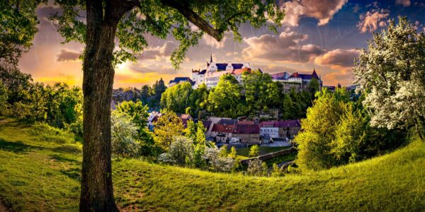 Bautzen – Golden erstrahlen die Bäume in der Morgensonne