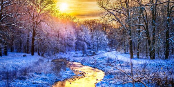 Die goldene Abendsonne spiegelt sich in der Neiße