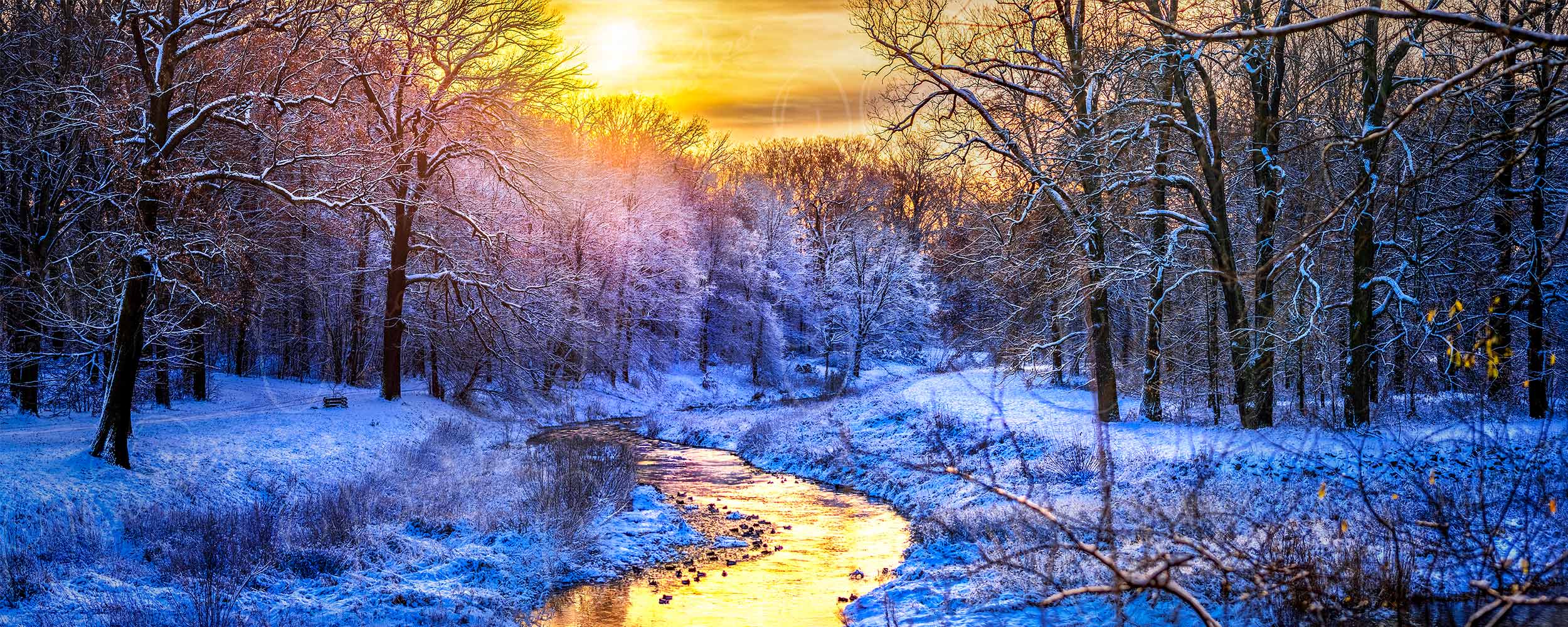 Die goldene Abendsonne spiegelt sich in der Neiße
