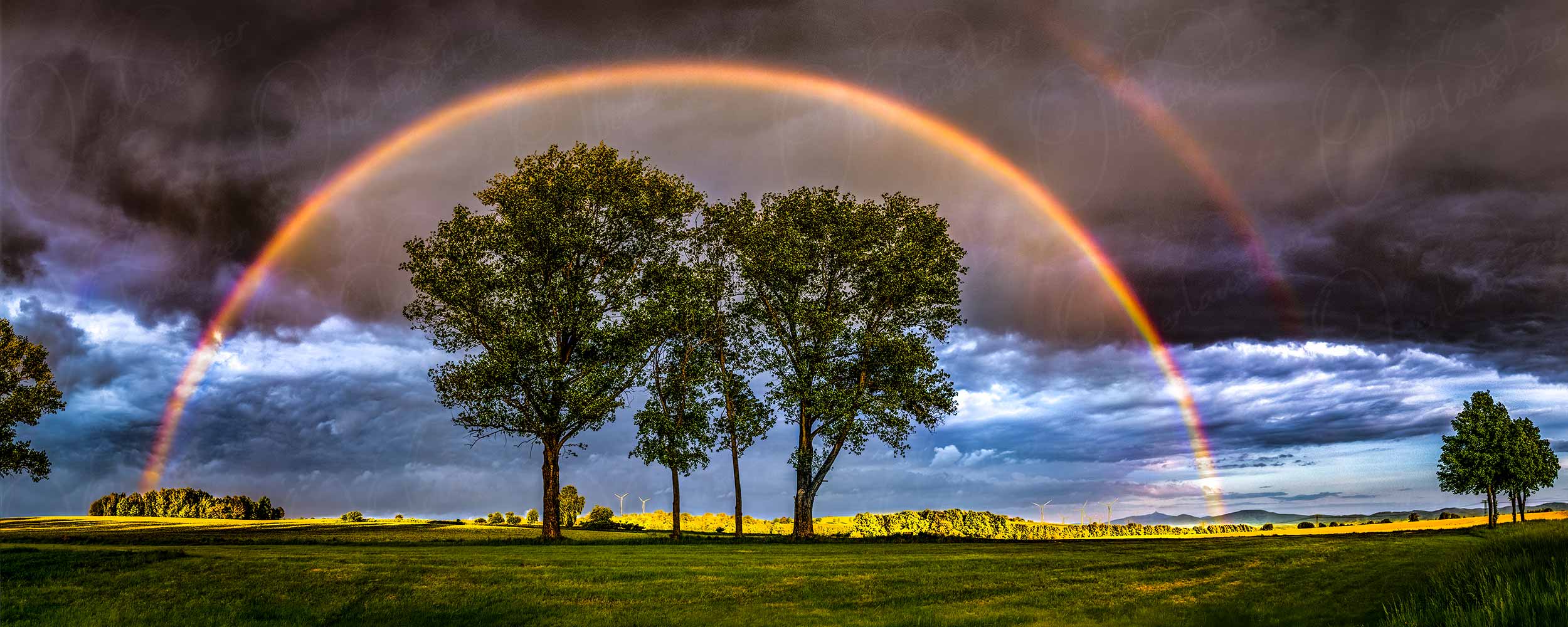 friedlich spannt sich der Regenbogen über einer Baumgruppe